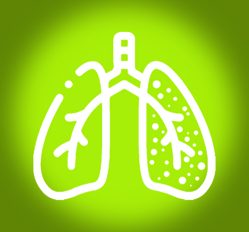 Antifibrotic Agent